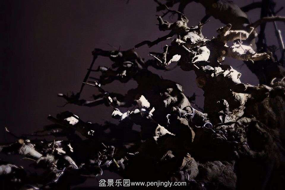 480.jpg