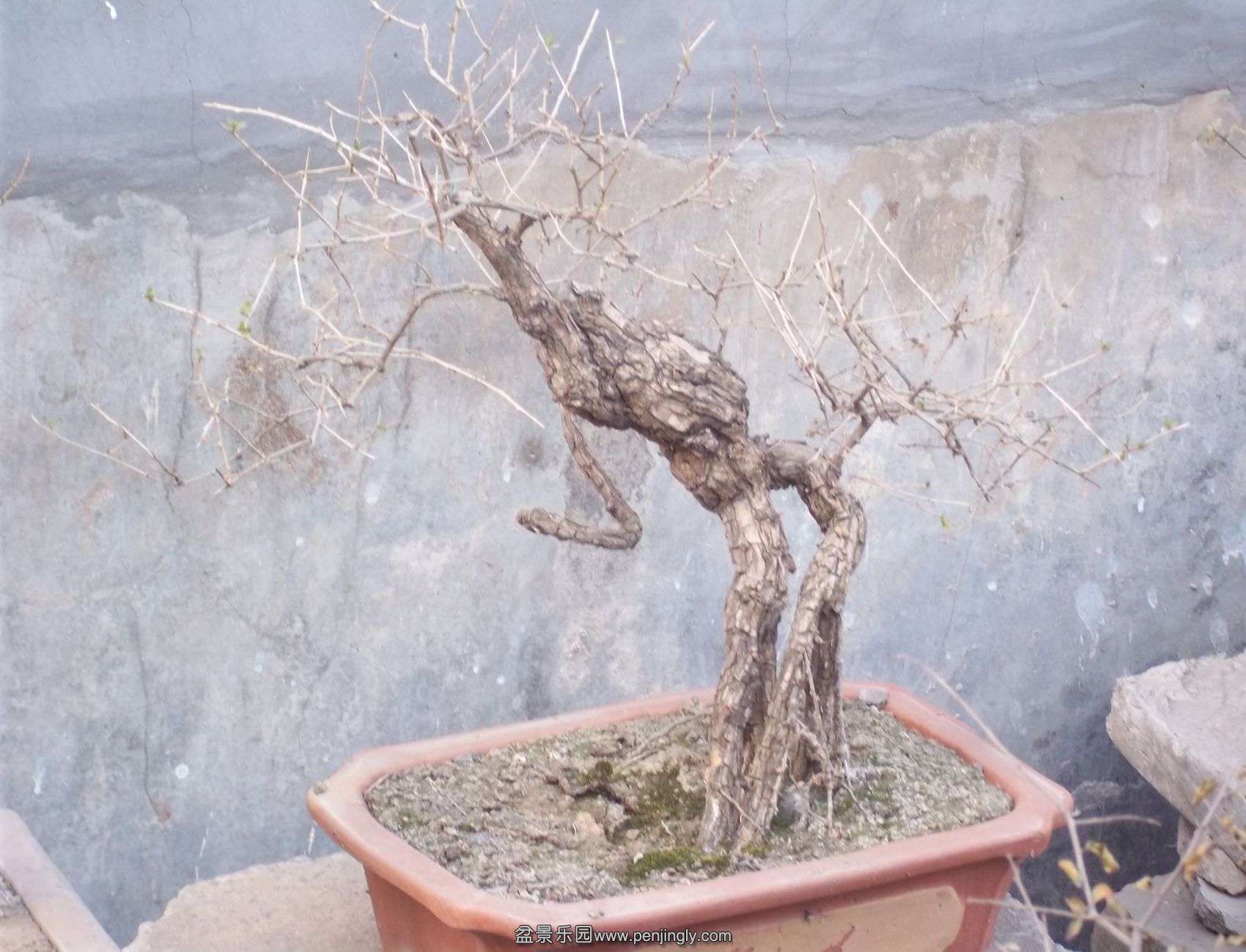 100_4802.JPG