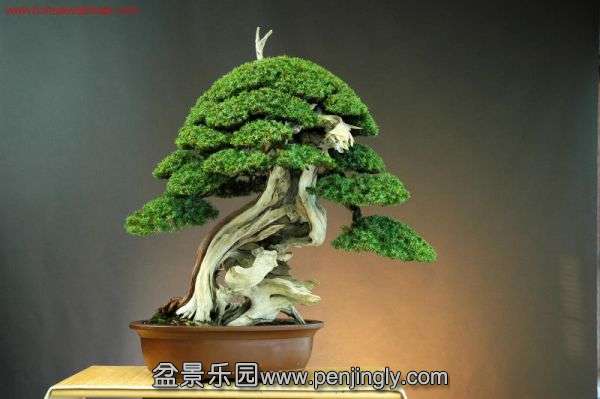 084914dq8q4v5wmwa8dafv.jpg.thumb.jpg