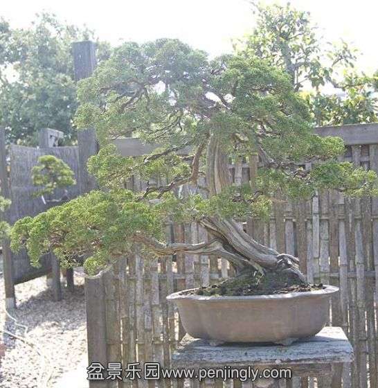 103613q1rwiojajjmuijjz.jpg.thumb.jpg