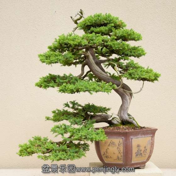 105211qvv2yicy225uchiu.jpg.thumb.jpg