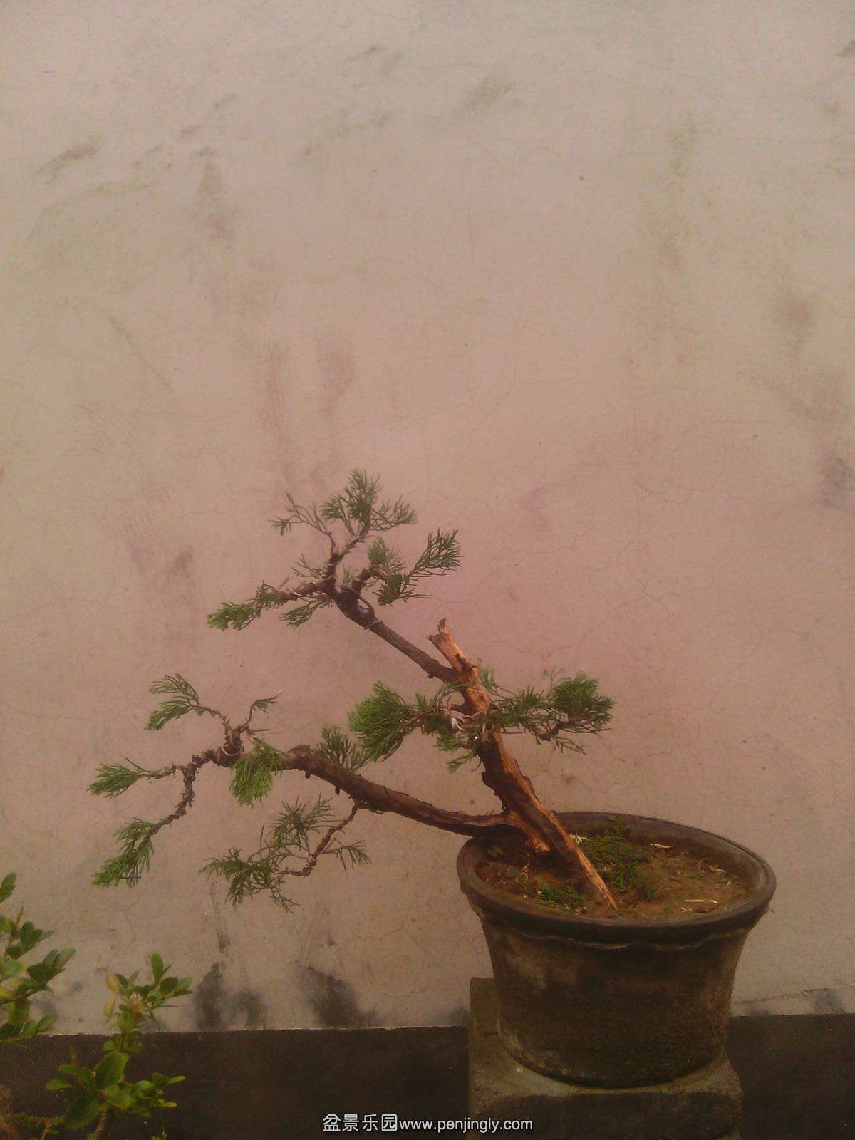 IMG00233.jpg