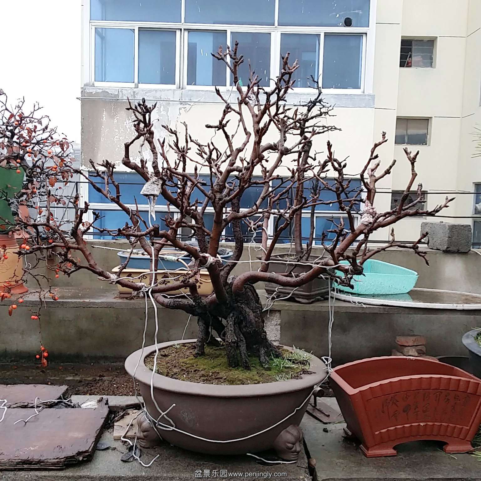 C360_2015-12-23-10-03-43-591.jpg