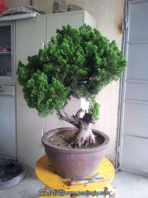 20140818_144233.jpg