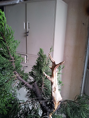 20140820_090734.jpg