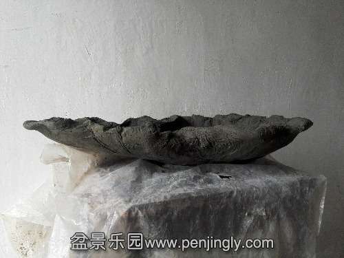 IMG_20151225_085414.jpg