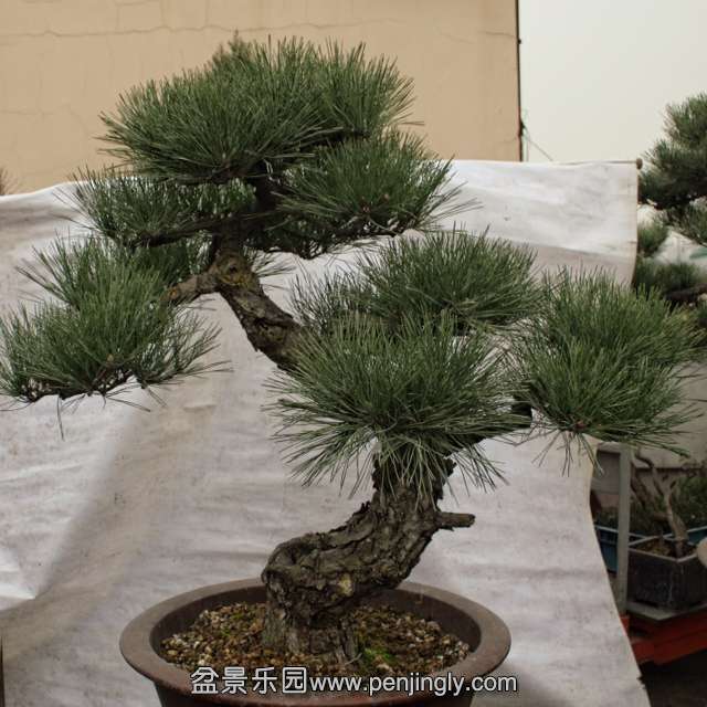 QQͼƬ20151229203827.jpg
