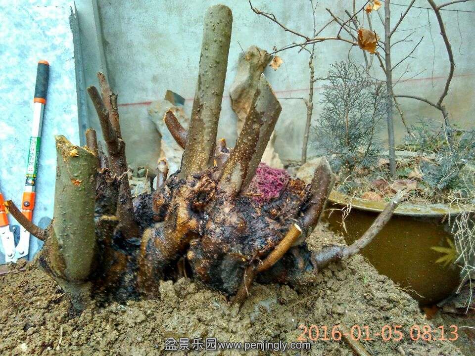QQͼƬ20160105085942.jpg