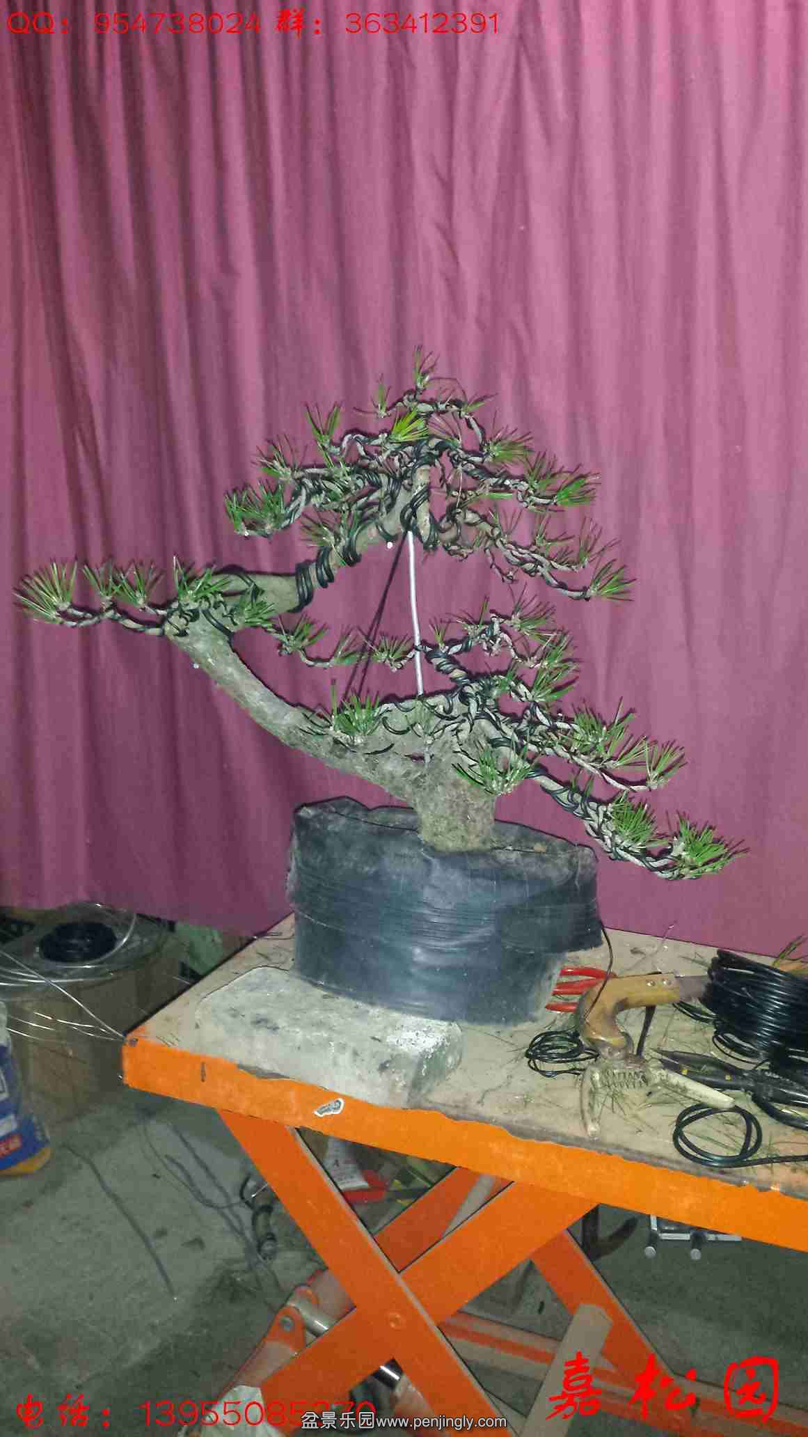 20160101_223223.jpg