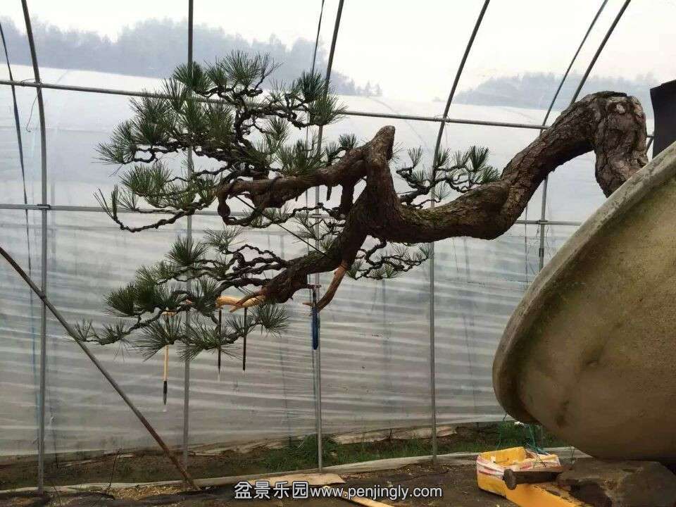 QQͼƬ20160107141448.jpg