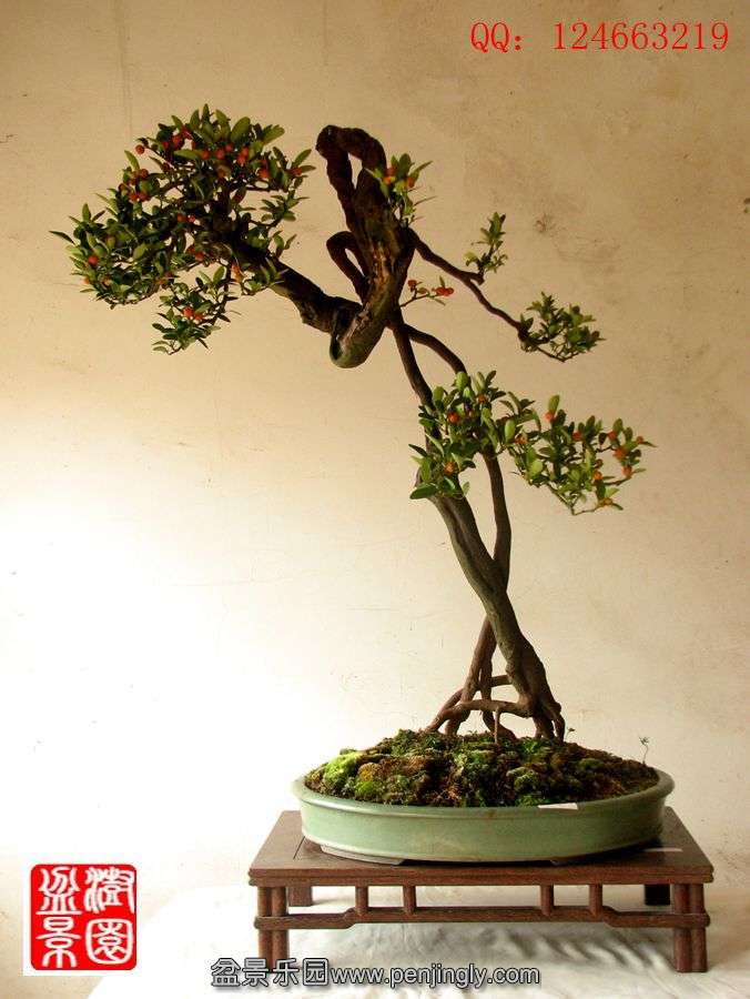 IMG_2186__.jpg