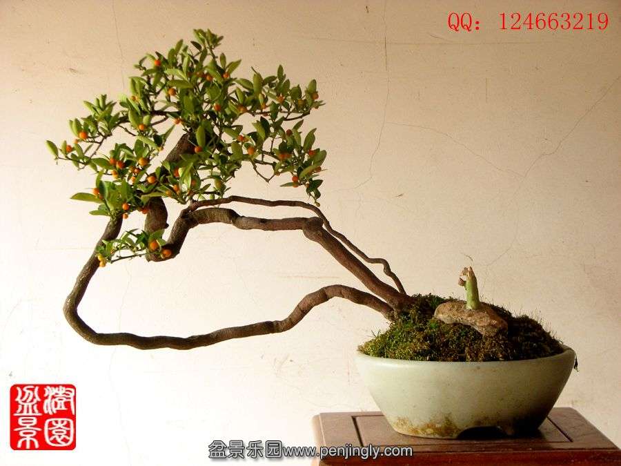 IMG_2200__.jpg