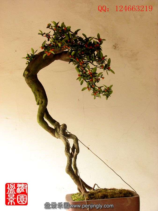 IMG_2209__.jpg