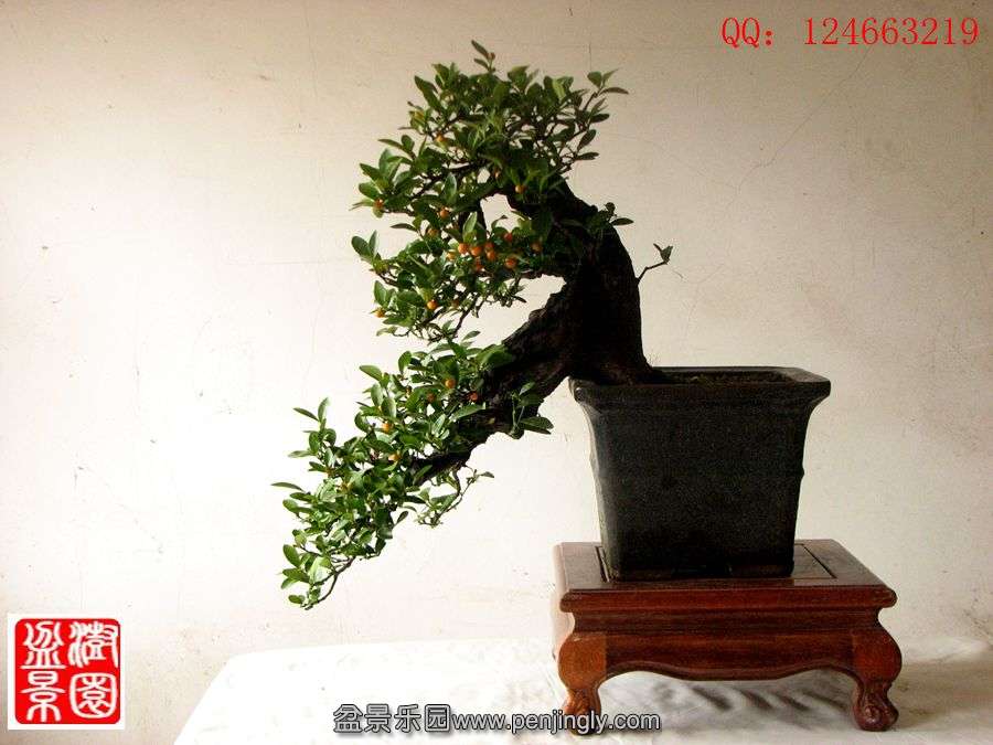 IMG_2210__.jpg