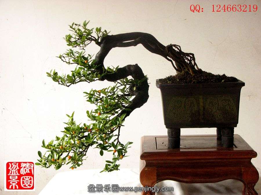IMG_2224__.jpg