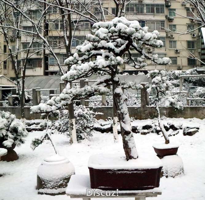 IMG_0078.JPG