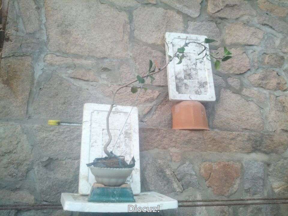 QQͼƬ20160209093051.jpg