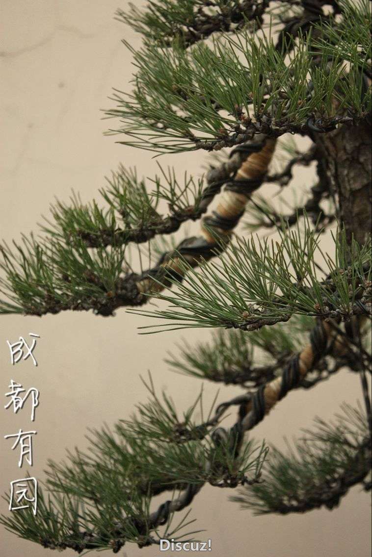 0D2B616D80423ABF293005AEE87D598E.png