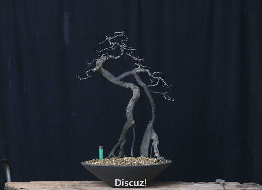 ѻ2.jpg