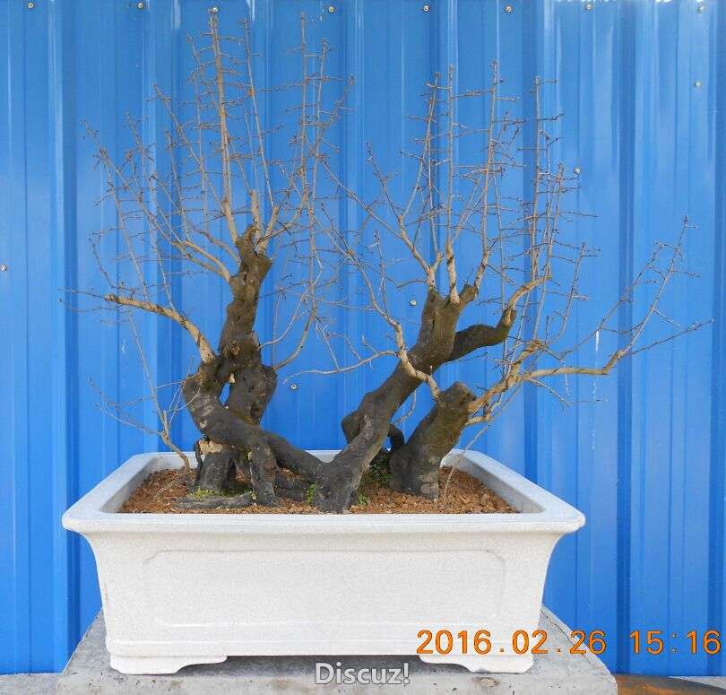 27ѻ3.jpg
