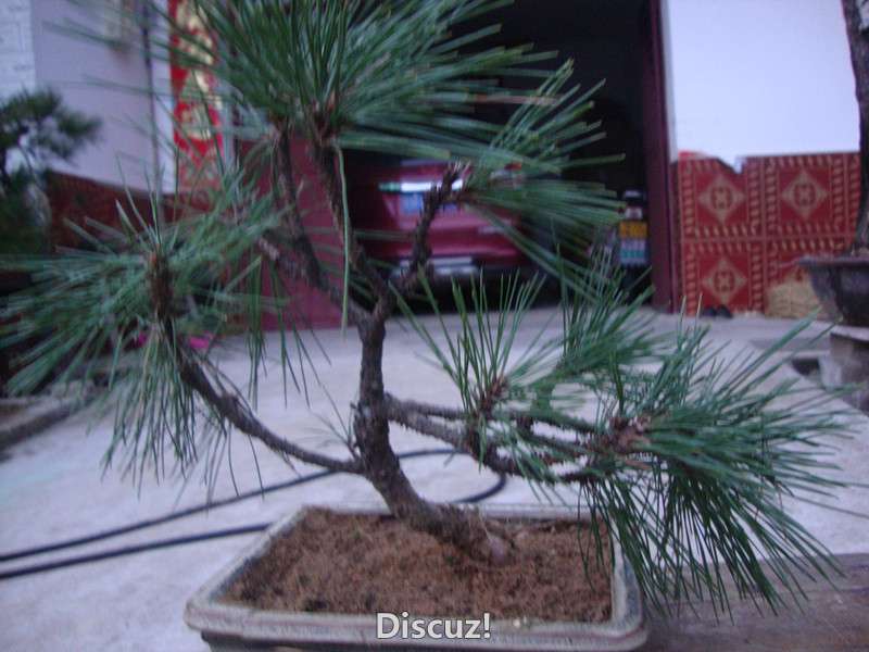 DSC04932_.jpg