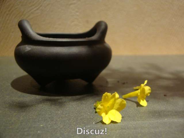 DSC02474.JPG