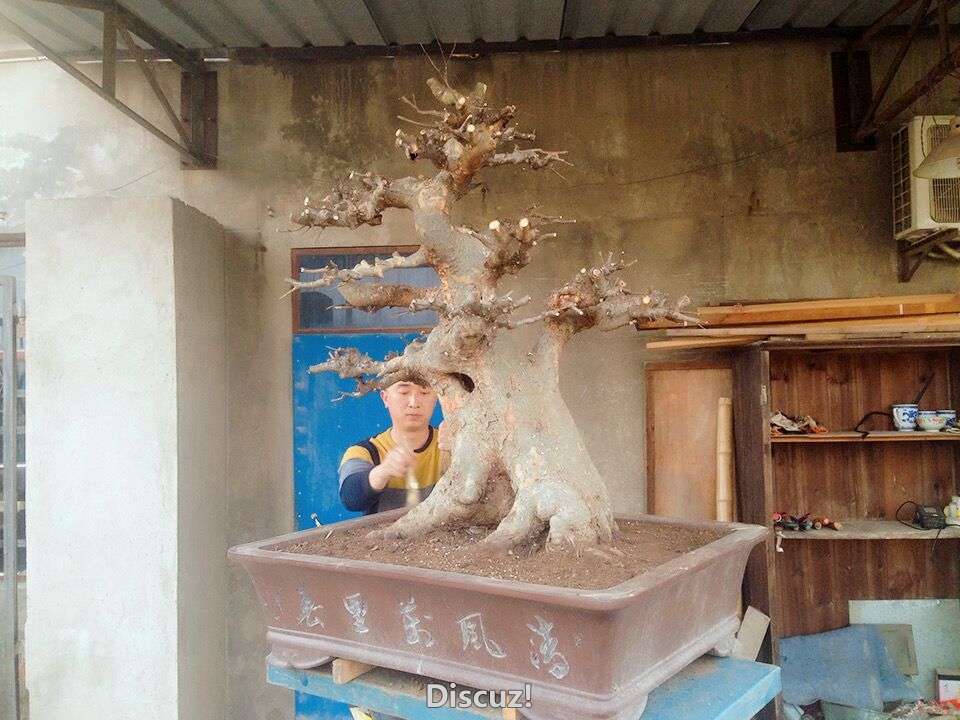 38.jpg