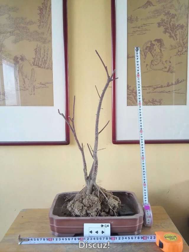 psb (9).jpg