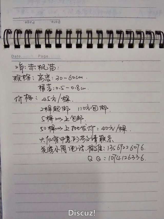 psb (3).jpg
