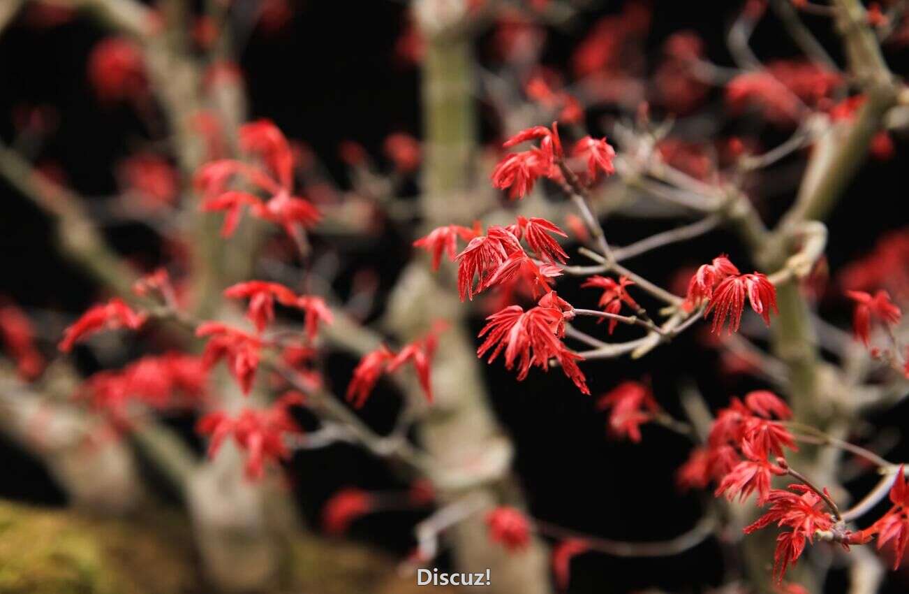 QQͼƬ20160309171811.jpg