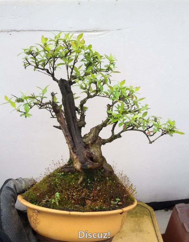20160310_104535.jpg
