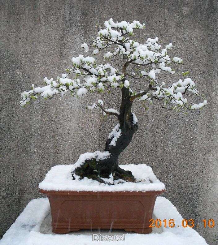 30ѩѻͼ8.jpg