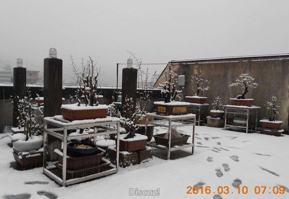 30ѩ92.jpg