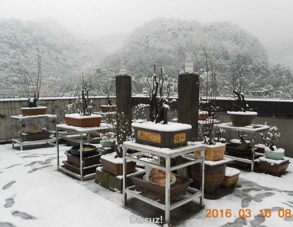 30ѩ991.jpg
