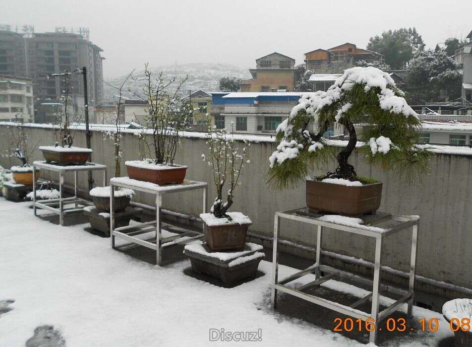 30ѩ98.jpg
