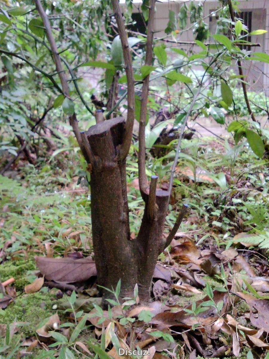 SNC05387.jpg