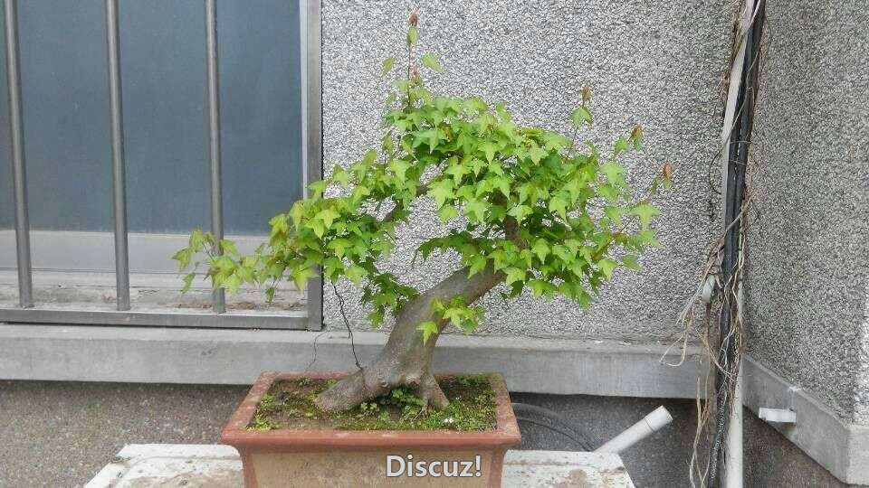 QQͼƬ20160318002500.jpg