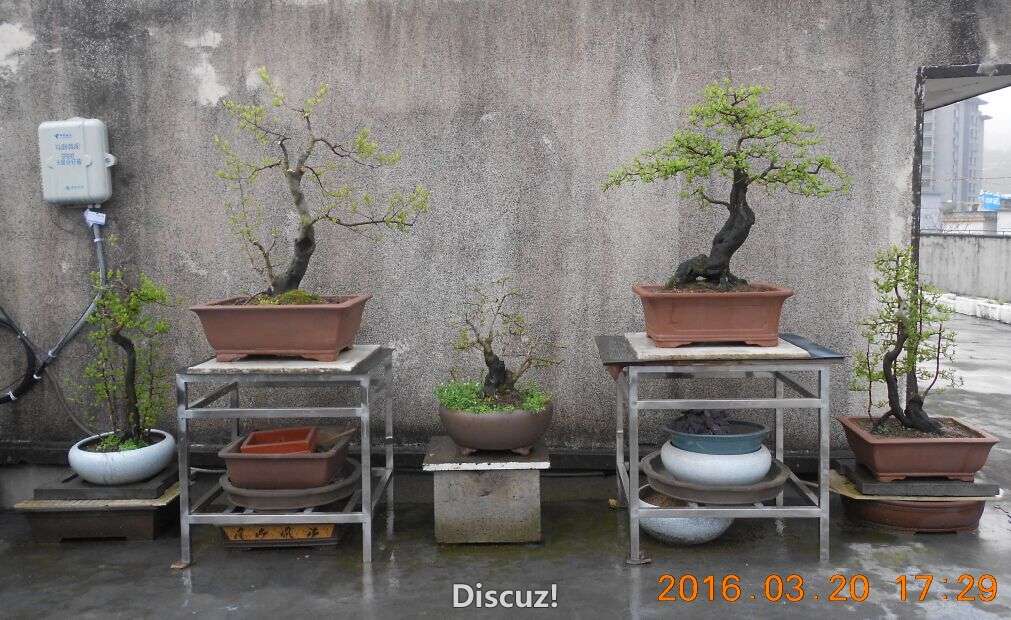 02¥ѻ׮1.jpg