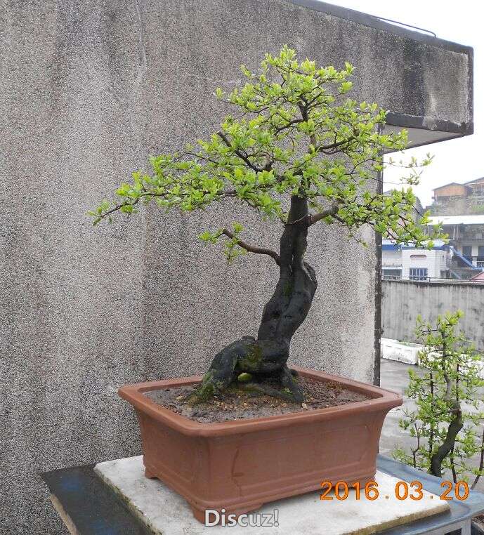 02¥ѻ׮3.jpg