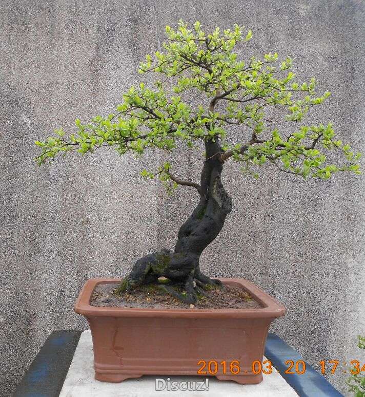 02¥ѻ׮5.jpg