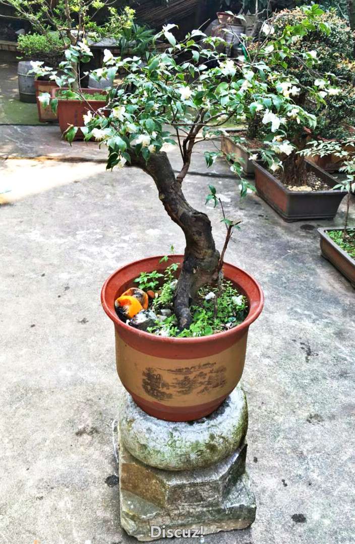 mmexport1458528655777_meitu_1.jpg