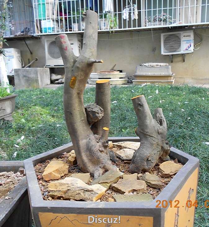 03ѻ4.jpg