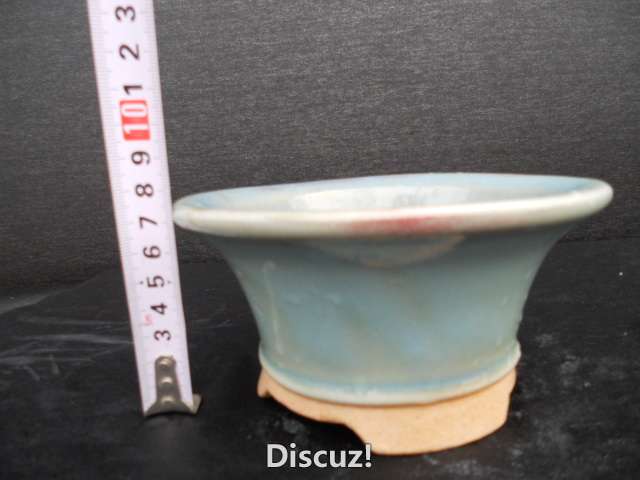 DSCN0446.JPG