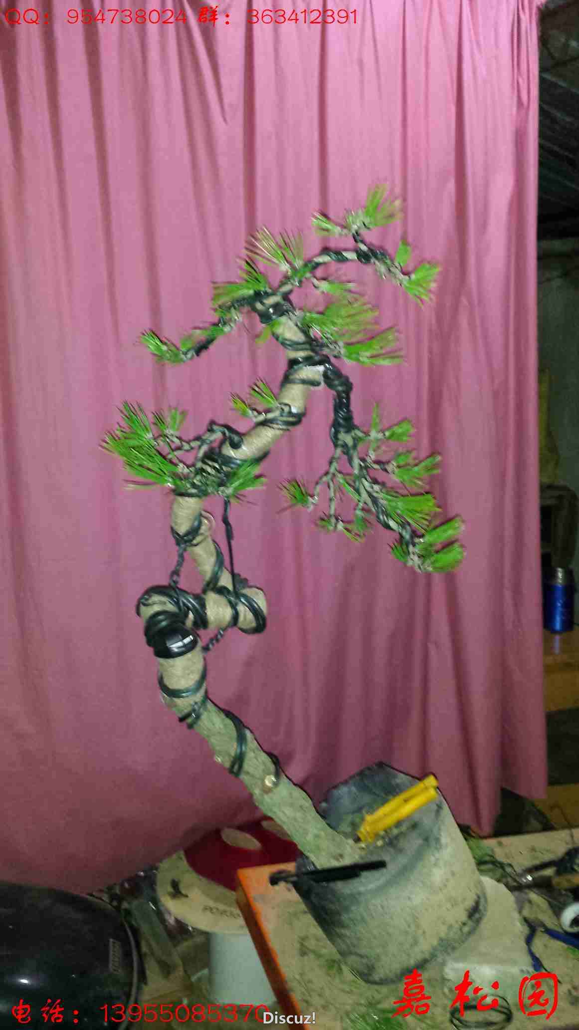 20160308_210632.jpg