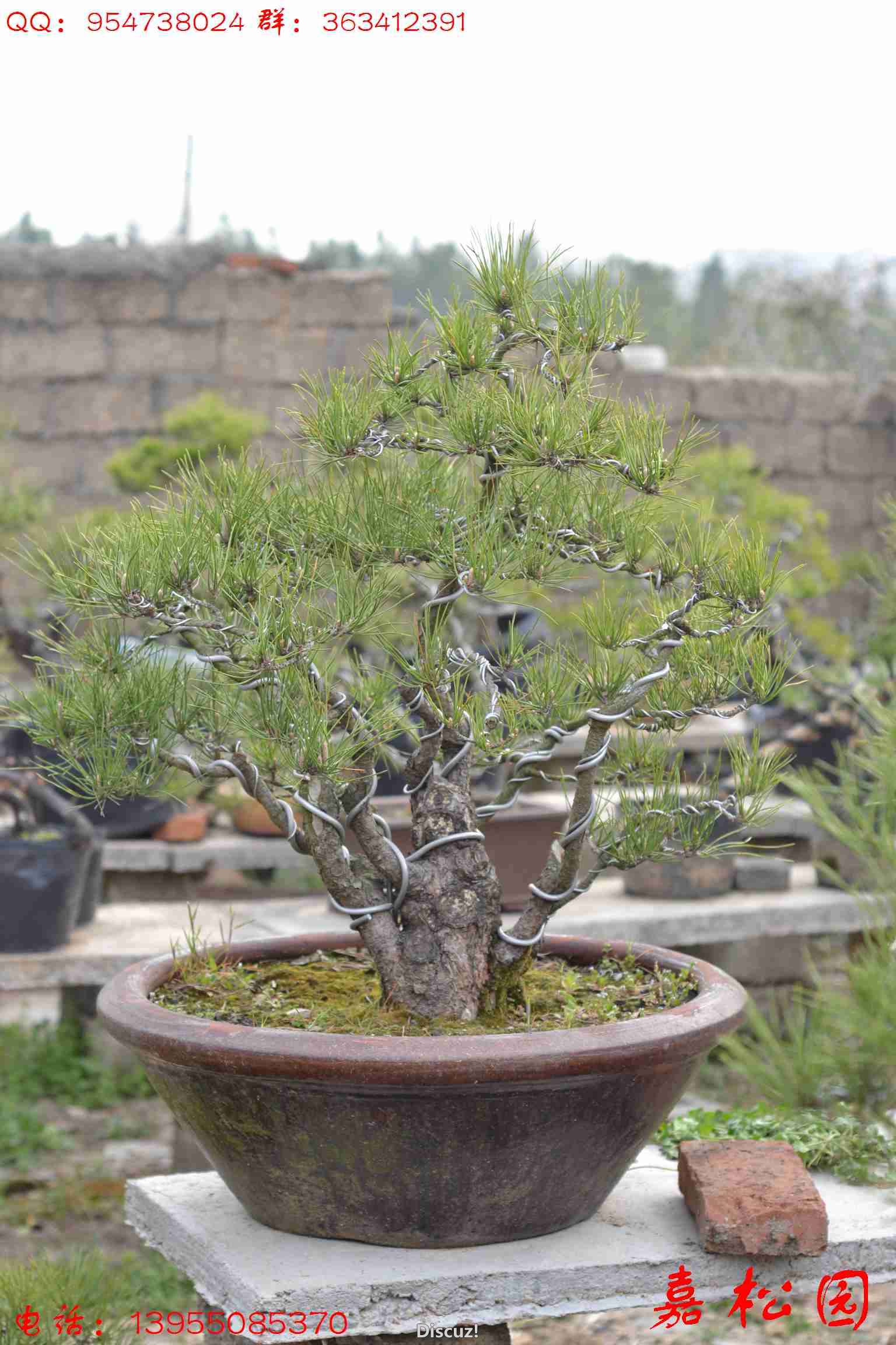 СƷ 091.JPG