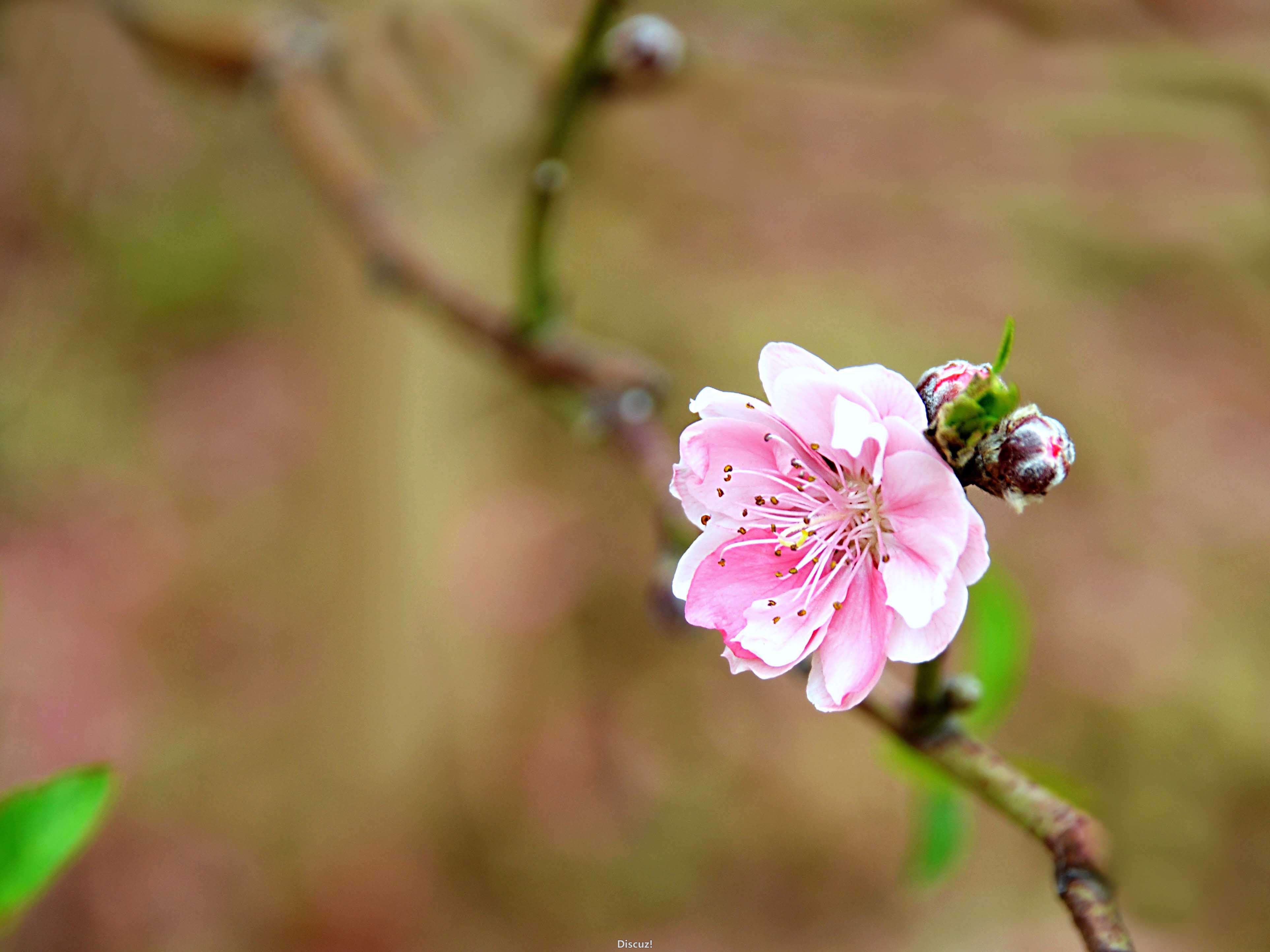 DSC_1107.jpg