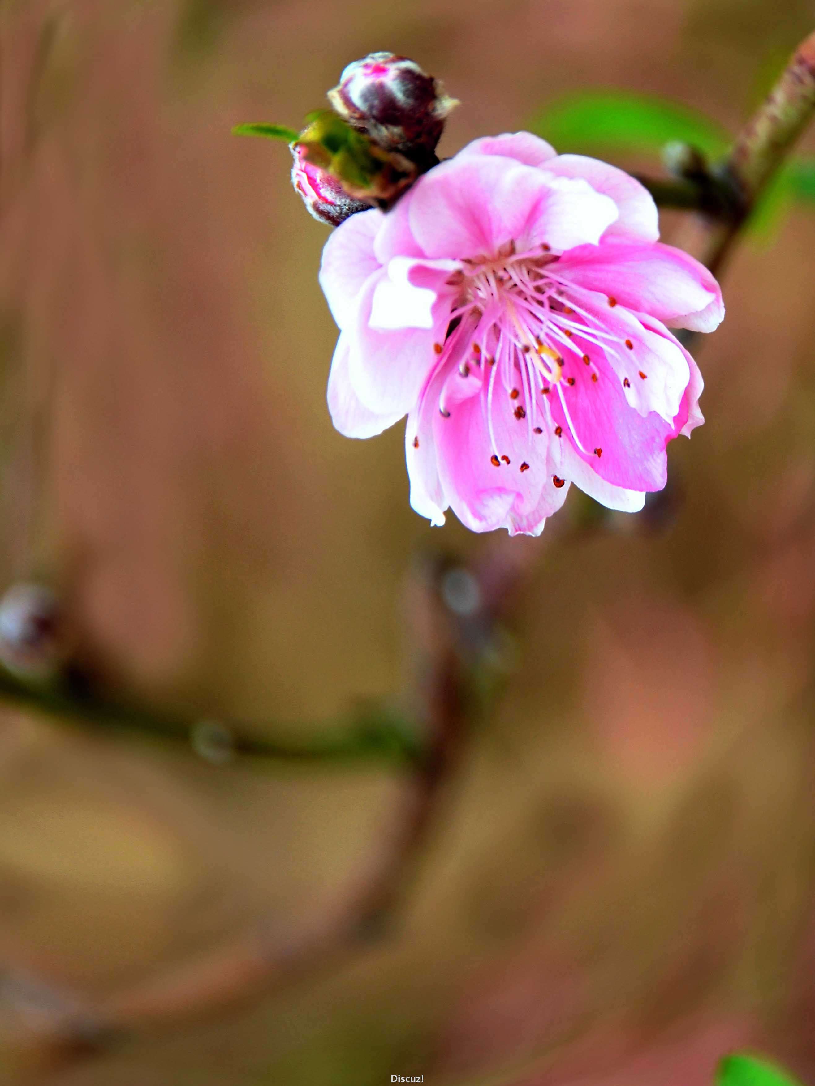 DSC_1108.JPG