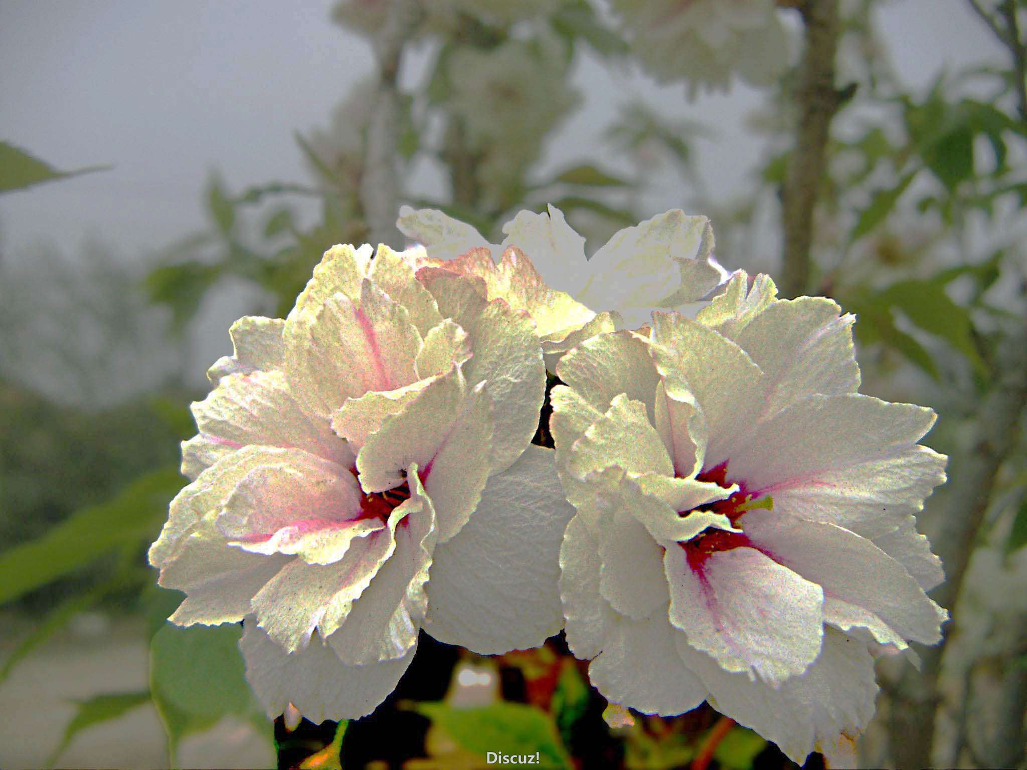 PICT2477.jpg