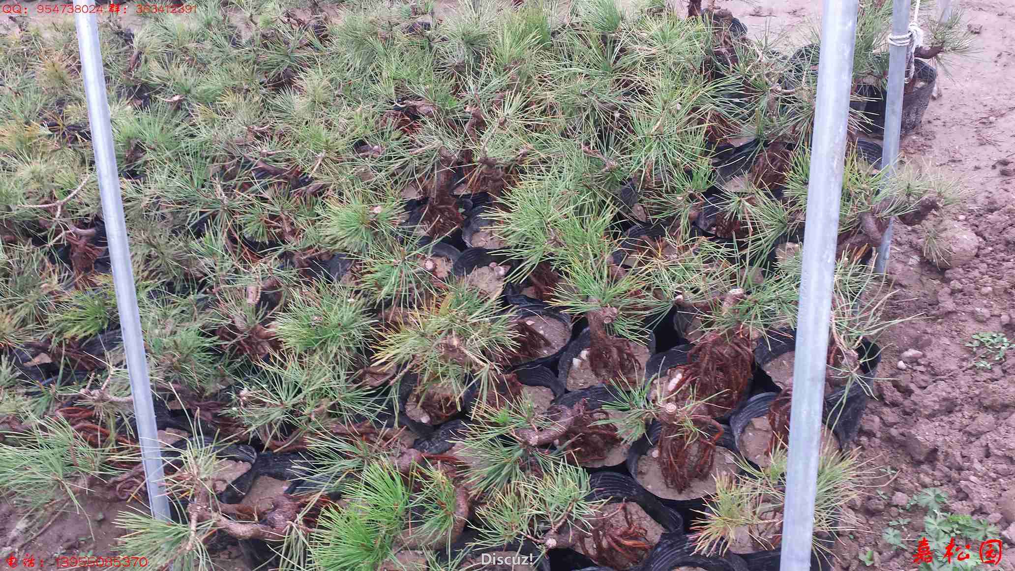 20160403_104318.jpg