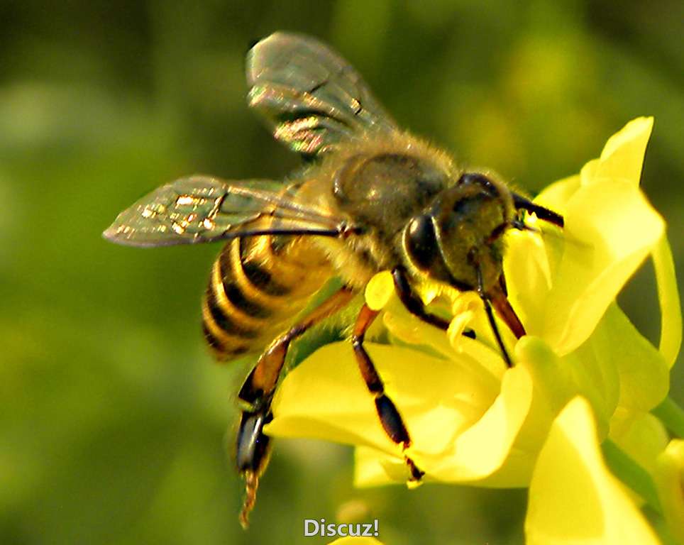 DSCN85671360.jpg